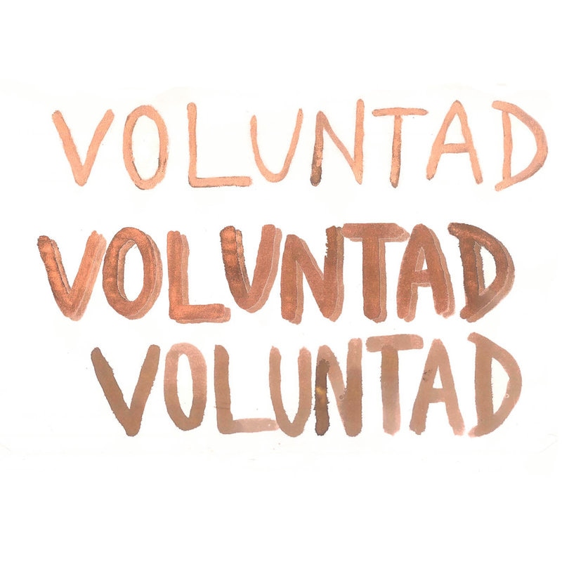 VOLUNTAD