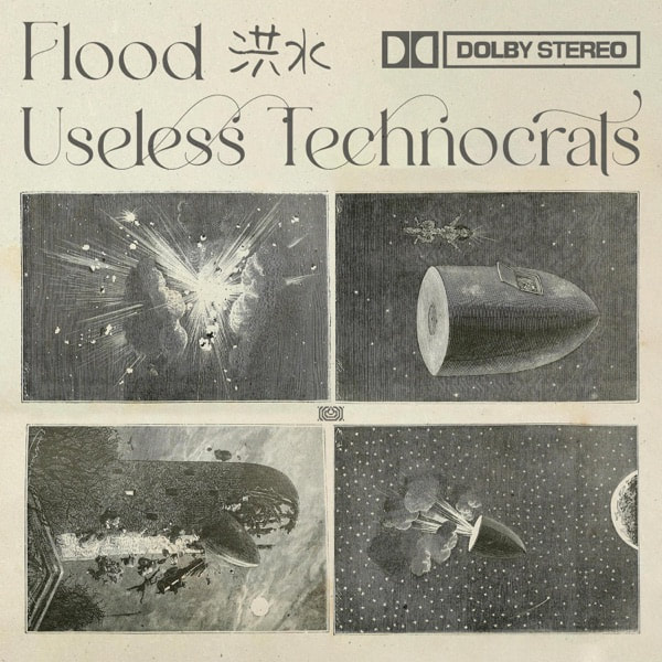 Useless Technocrats