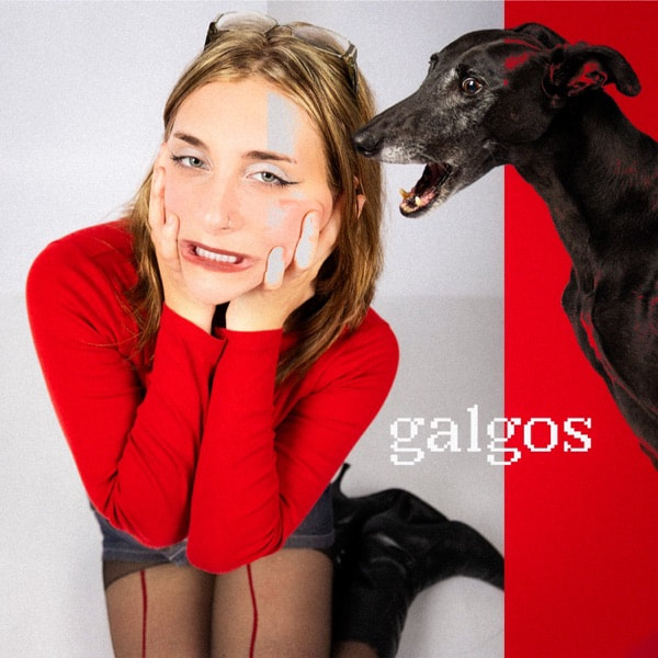 galgos